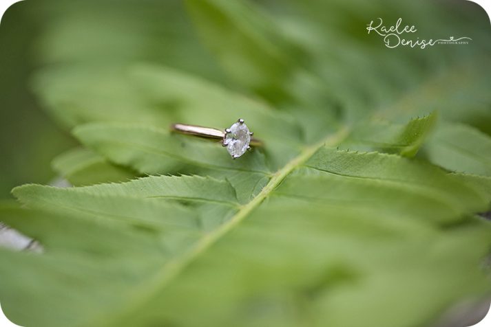 brevard engagement photographer