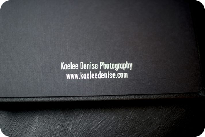 asheville wedding photographer