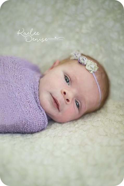 brevard portrait photographer