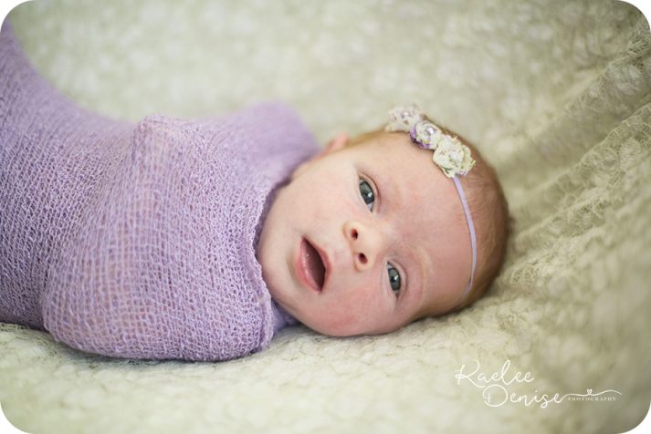 brevard portrait photographer