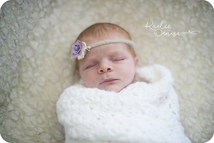 brevard portrait photographer