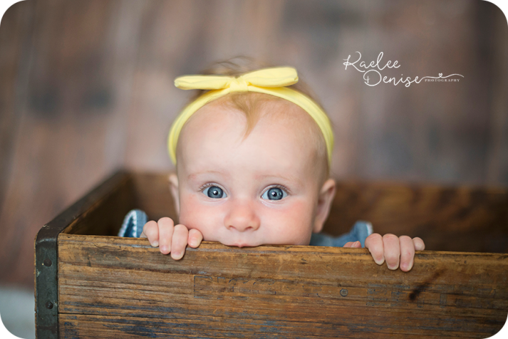 brevard photographer