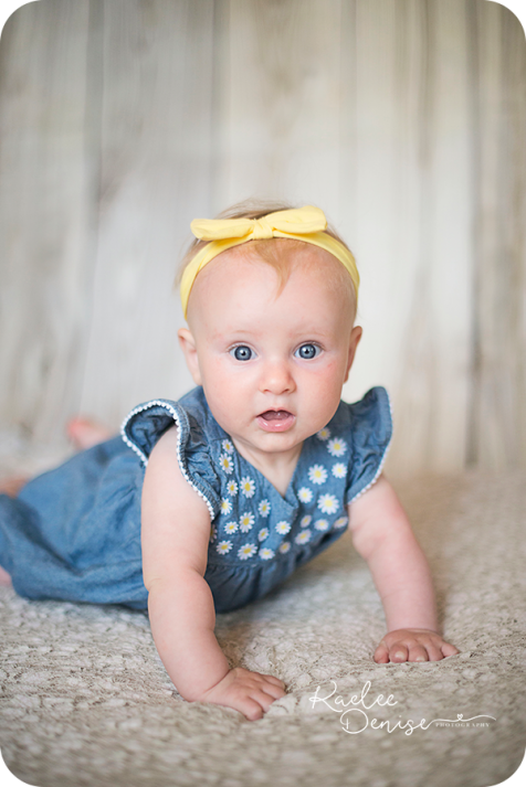 brevard photographer