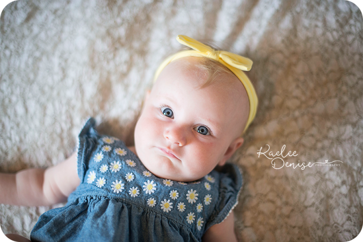 brevard photographer