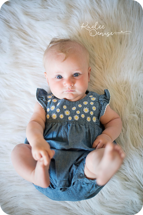 brevard photographer