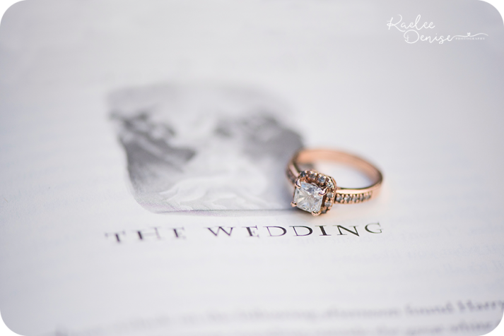 Brevard Engagement Photographer