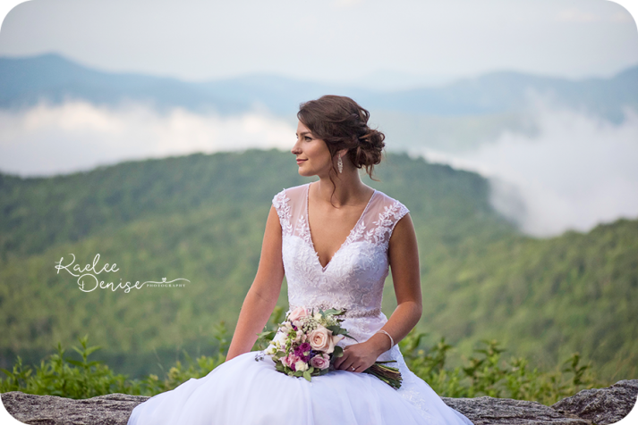 Brevard Wedding Photographer