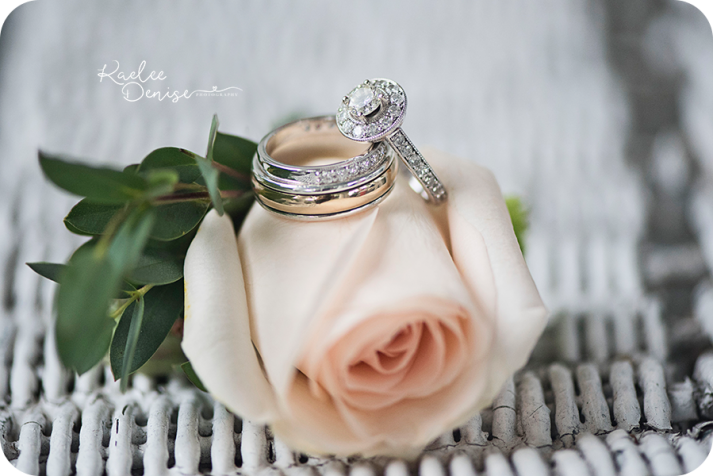 brevard wedding photographer