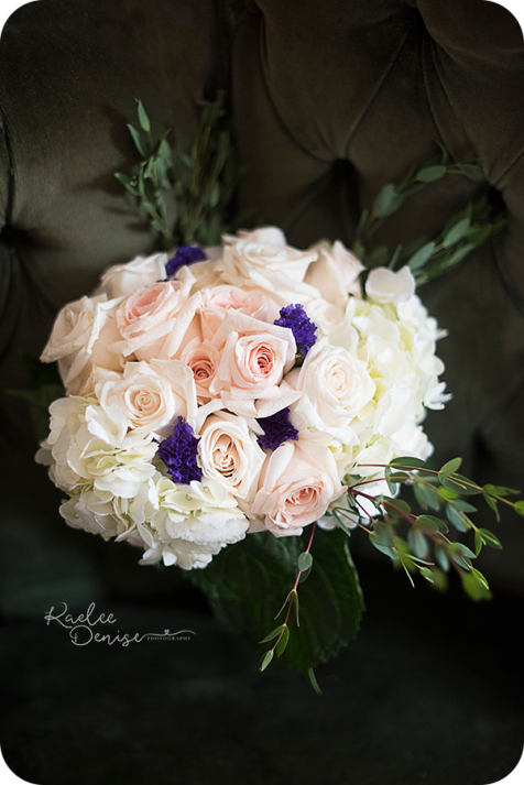 brevard wedding photographer