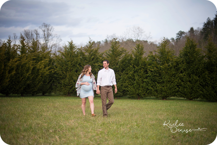 Brevard photographer