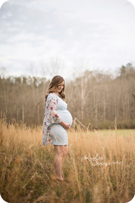 Brevard photographer