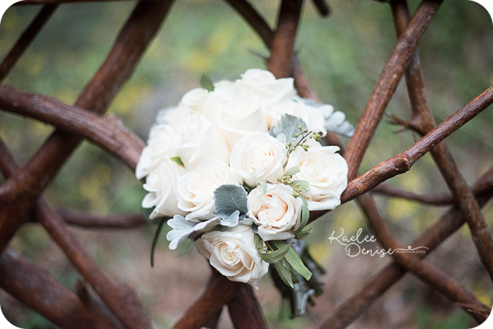 Lake Lure Wedding Photographer