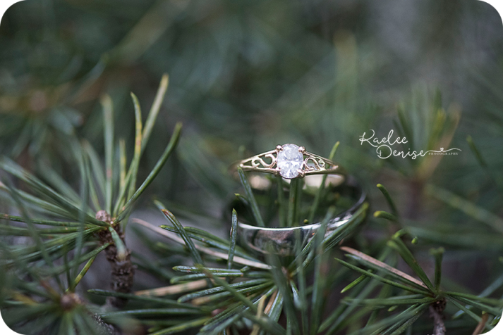 Lake Lure Wedding Photographer