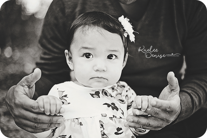 Asheville Photographer