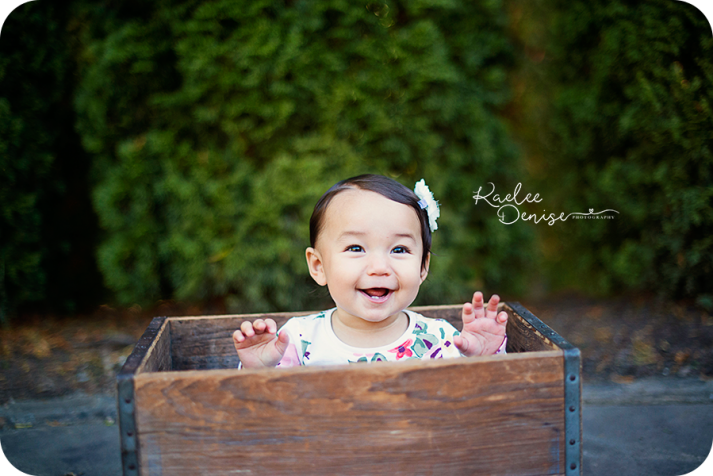 Asheville Photographer