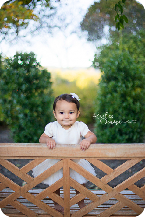 Asheville Photographer