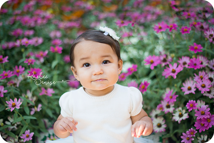 Asheville Photographer