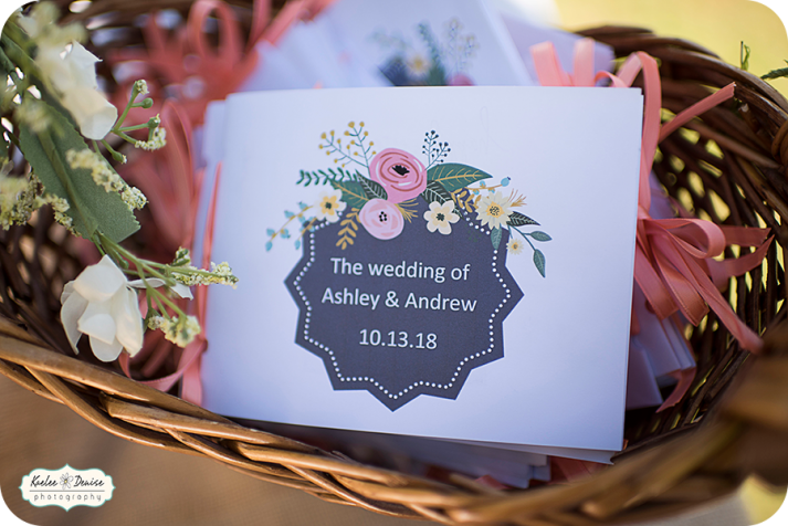 brevard wedding photographer