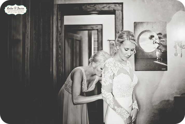 brevard wedding photographer