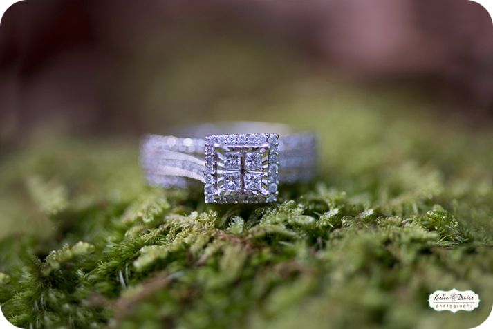 Brevard Portrait Photographer