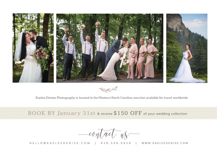 Brevard Wedding Photographer