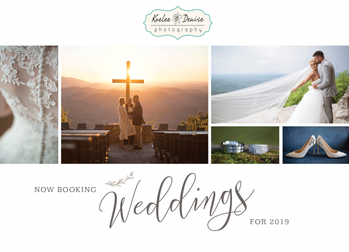 Brevard Wedding Photographer