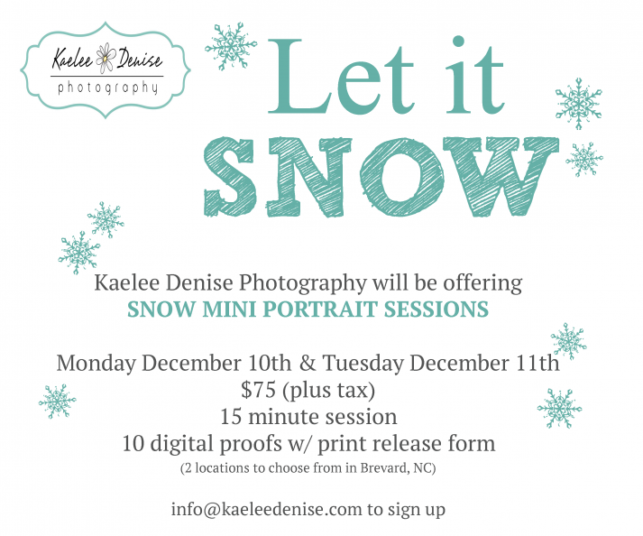 Brevard Portrait Photographer