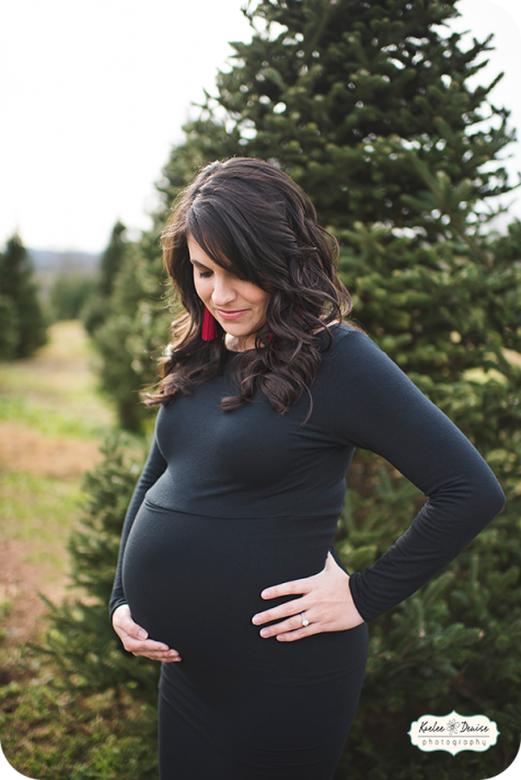 Brevard Photographer