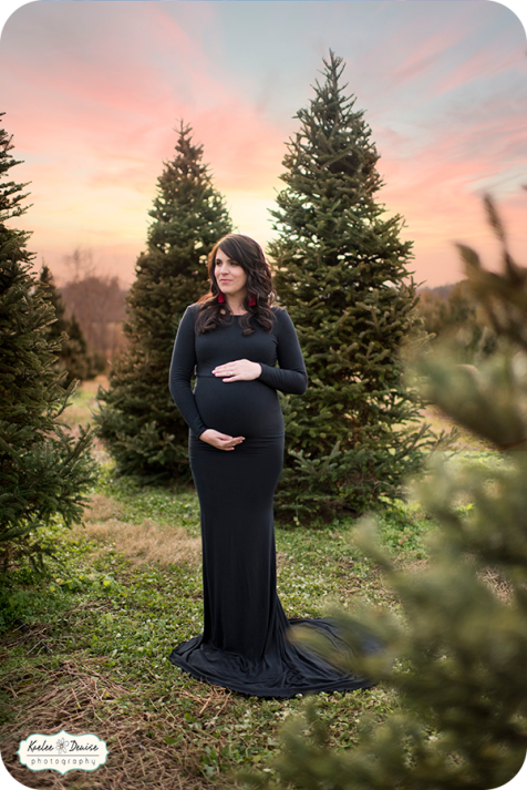 Brevard Photographer