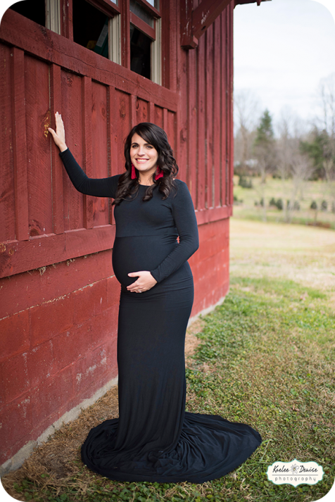 Brevard Photographer