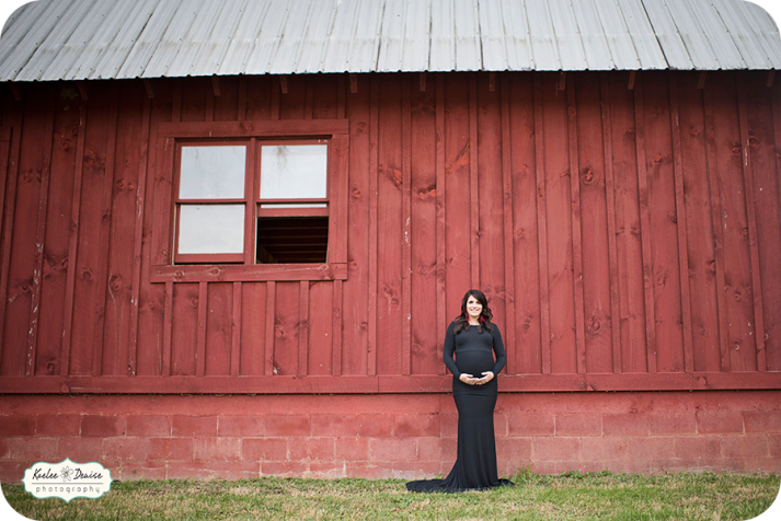 Brevard Photographer