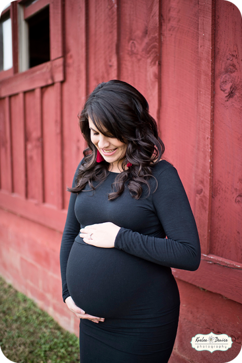 Brevard Photographer