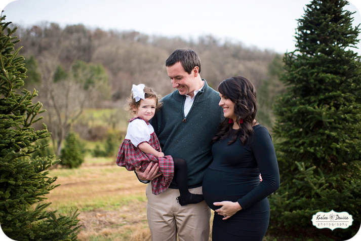 Brevard Photographer