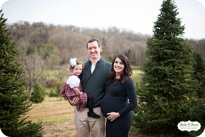 Brevard Photographer