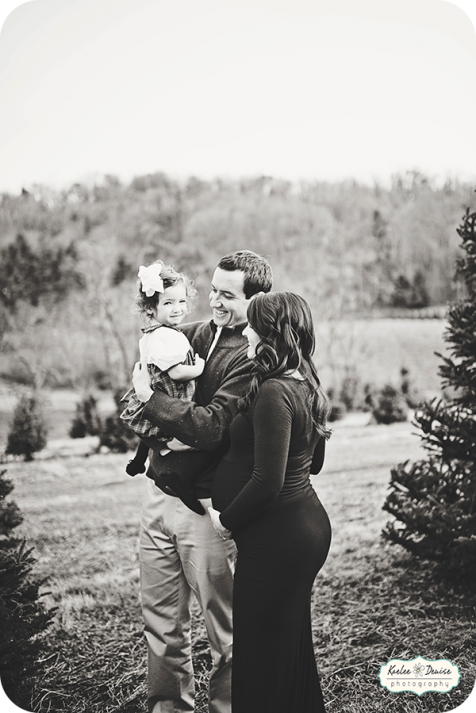 Brevard Photographer