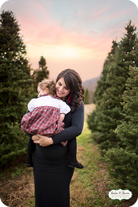 Brevard Photographer