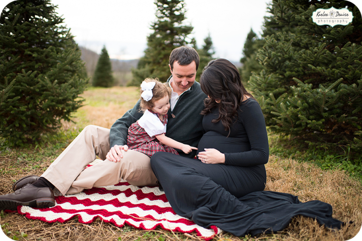 Brevard Photographer