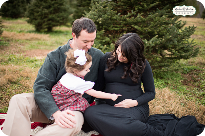 Brevard Photographer