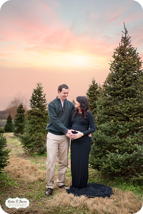 Brevard Photographer