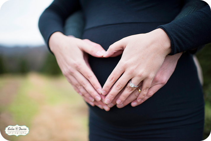 Brevard Photographer