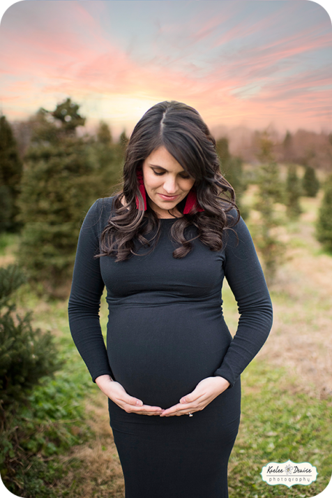 Brevard Photographer