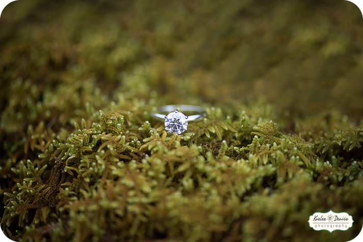 Mountain Engagement Session