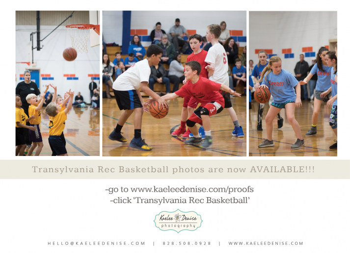 basketball portraits 