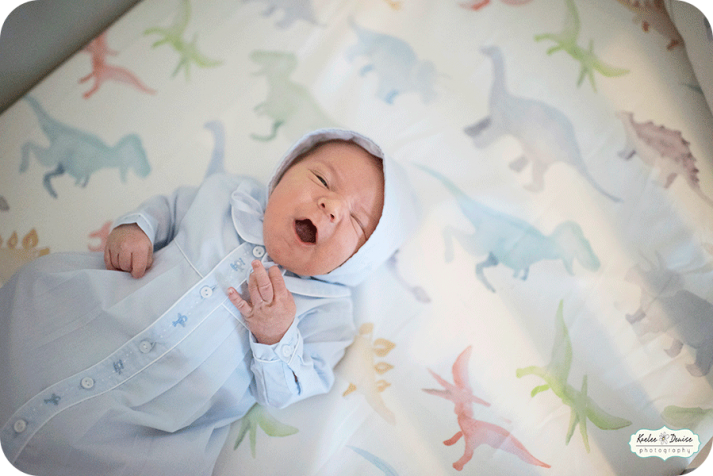 Asheville lifestyle portrait photographer 