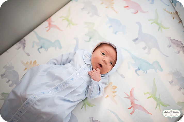 Asheville lifestyle portrait photographer 