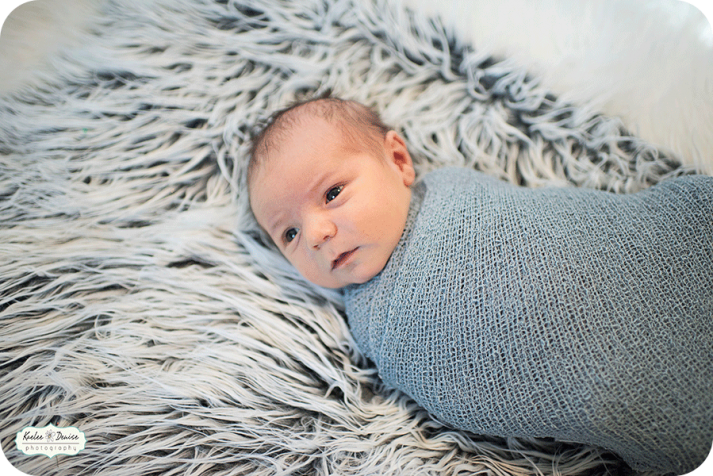 Asheville lifestyle portrait photographer 