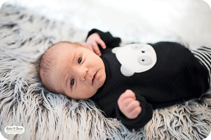 Asheville lifestyle portrait photographer 