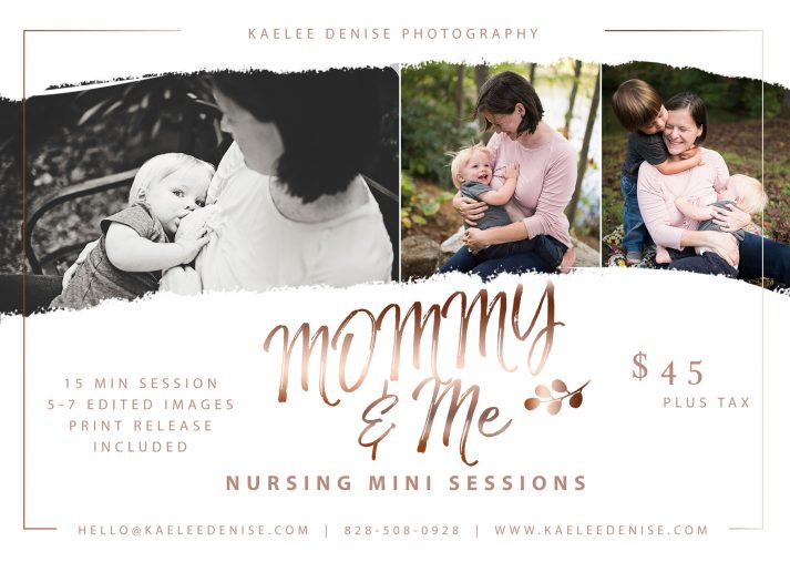 brevard photographer 