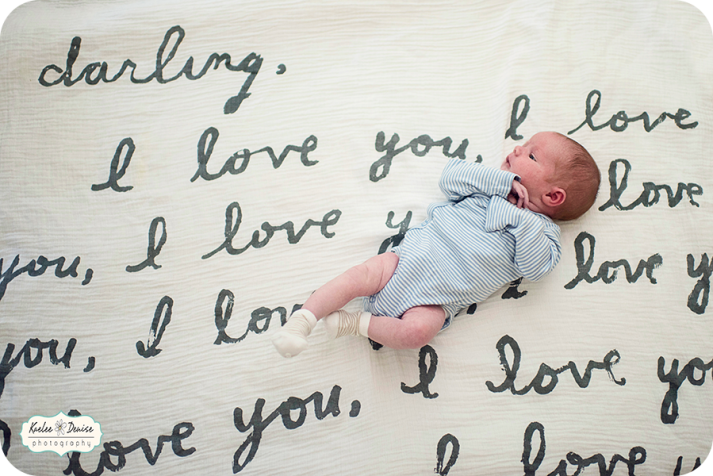 Brevard portrait photographer