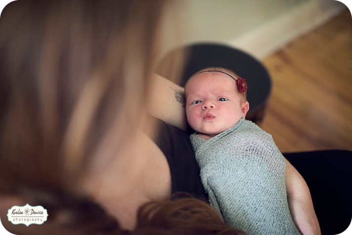 Brevard portrait photographer